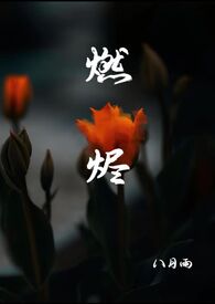 燃烬天下小说